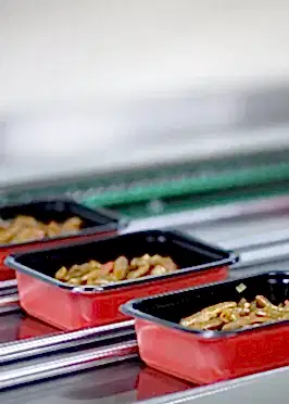 Porselen tabaklarda gastronomi küveti görseli